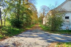 Aleja-lipowa-Sanguszkow