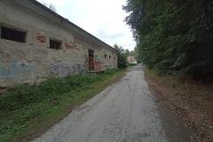 Lepsza-droga-do-miejskiej-winnicy-1