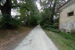 Lepsza-droga-do-miejskiej-winnicy-3