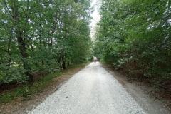 Lepsza-droga-do-miejskiej-winnicy-5