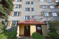 Patriotyczne-flagi-3