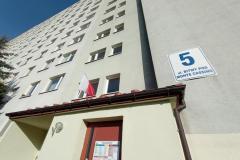 Patriotyczne-flagi-4