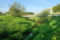 Promenada-Stary-Watok-5