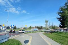 Nasadzenia-Lwowska-2