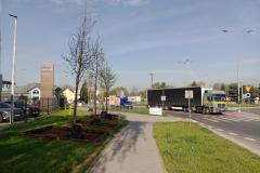 Nasadzenia-Lwowska-3