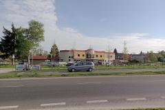 Nasadzenia-Lwowska-6