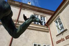 Skrzydelko-Merkury-1