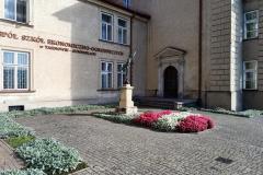 Skrzydelko-Merkury-2