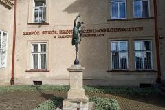 Skrzydelko-Merkury-3