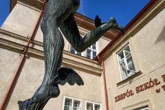 Skrzydelko-Merkury-7