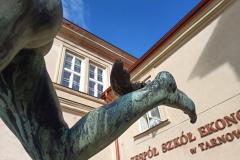 Skrzydelko-Merkury-8