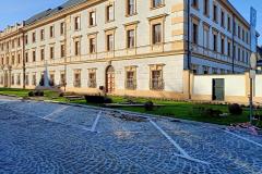 Drzewa-Pilsudskiego2