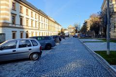 Drzewa-Pilsudskiego7