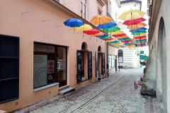 Piekarska Parasolki6