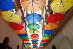 Piekarska Parasolki5