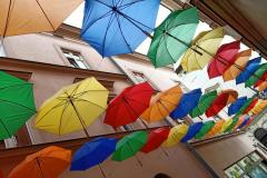 Piekarska Parasolki3