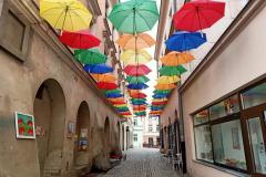 Piekarska Parasolki2