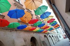 Piekarska Parasolki1