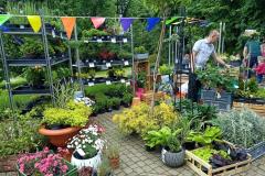 Piknik-ogrodniczy-18