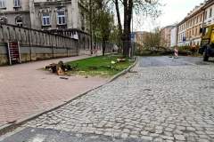 pilsudskiego-kwiecien2