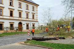 pilsudskiego-kwiecien4