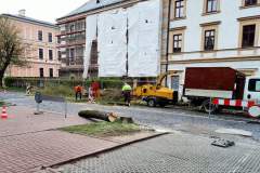 pilsudskiego-kwiecien6