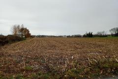 Przetarg-dzialki-Tarnow-7