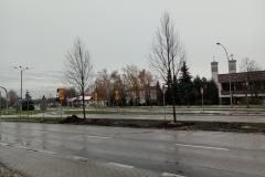 Nasadzenia-lip-Sloneczna-Tarnow-1