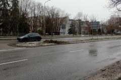 Nasadzenia-lip-Sloneczna-Tarnow-2