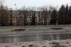 Nasadzenia-lip-Sloneczna-Tarnow-4