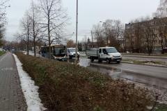 Nasadzenia-lip-Sloneczna-Tarnow-5