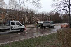 Nasadzenia-lip-Sloneczna-Tarnow-6