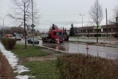 Nasadzenia-lip-Sloneczna-Tarnow-7