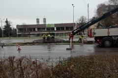 Nasadzenia-lip-Sloneczna-Tarnow-8