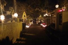 Stary-Cmentarz-2024-15