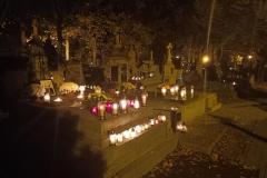 Stary-Cmentarz-2024-9