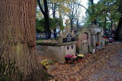 Stary-Cmentarz-Tarnoe-2023-14