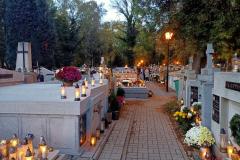 Stary-Cmentarz-Tarnoe-2023-19