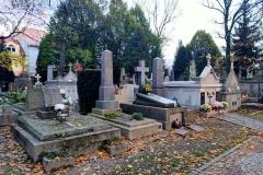 Stary-Cmentarz-Tarnoe-2023-7