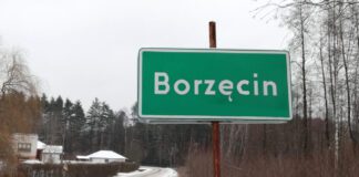 Borzęcin