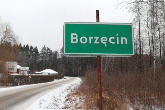 Borzęcin