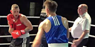 Boks Kiwior mistrzostwo