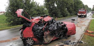 Co ekspert to opinia