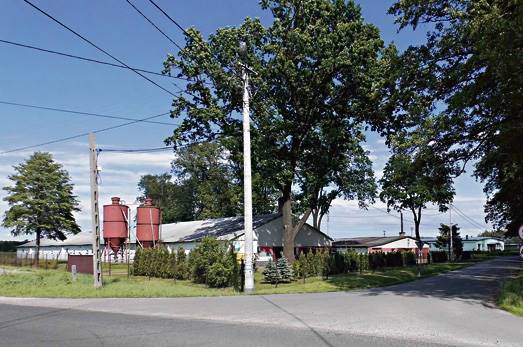 Ferma drobiu w Ładnej, z której wydobywają się zapachy utrudniające życie okolicznym mieszkańcom Drobiowy protest