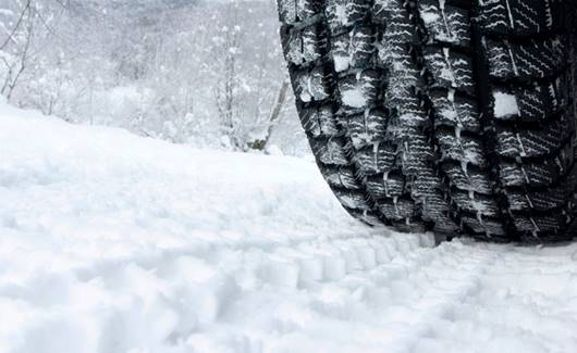 Dziesiec-mitow-na-temat-zimowek.jpg Dziesiec mitow na temat zimowek