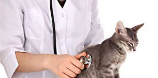 Fundacja Zmienmy Swiat