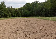 Grunt za grunt Grunt za grunt