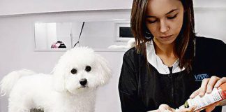 Joanna Kurek w psim salonie