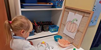 Niepubliczne Przedszkole Pod Kasztanami