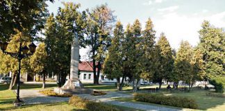 Policja wychodzi na ulice